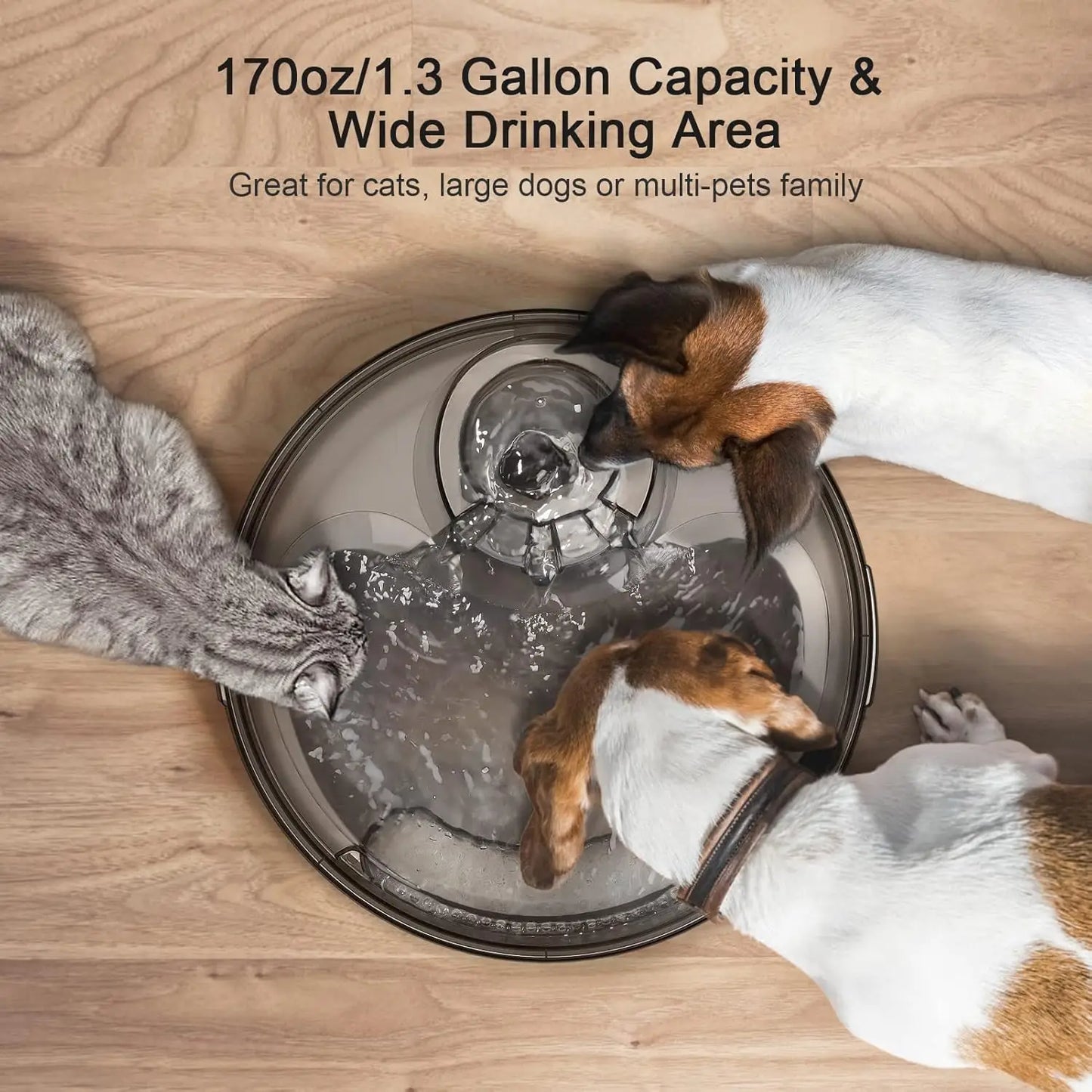 Large Automatic Pet Water Fountain, 170oz/1.3Gallon/5L