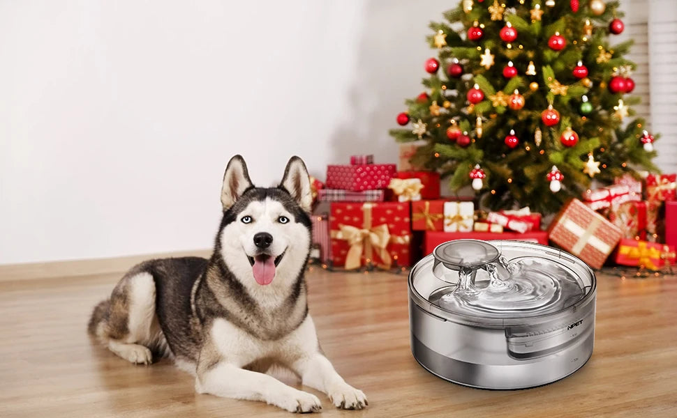 Large Automatic Pet Water Fountain, 170oz/1.3Gallon/5L
