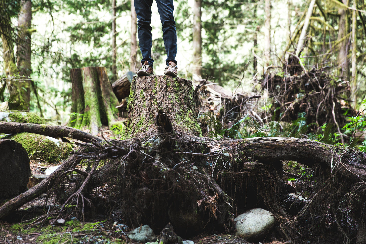 Hiking